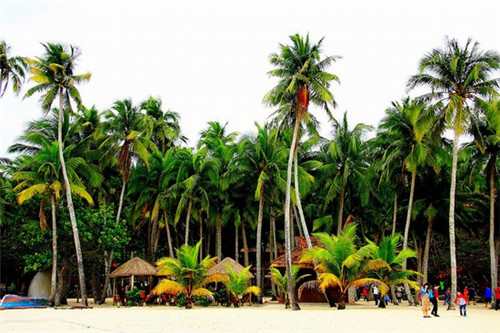 è¯æ¹åä¸çºªå¹¿åº20200406042937197