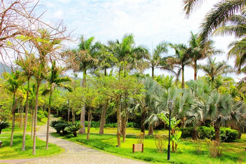 ä¸èç§è±éä¸èç§è±é-è§åå¾-è§åæ²ç1