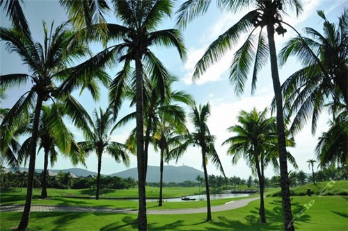 海南海口买房子哪里值得？观澜湖君悦公馆二期预计2022年5月31日交房