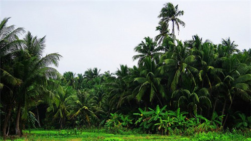 海南买房：鲁能海蓝福源高层预计今年年底交房