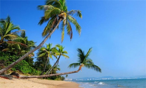 君悦府什么户型不能买