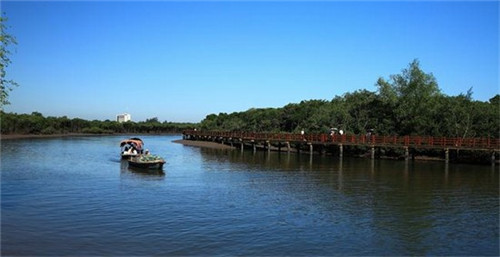 海口市那个地方适合养老？