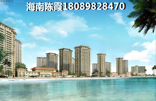 橡树园2024能生纸