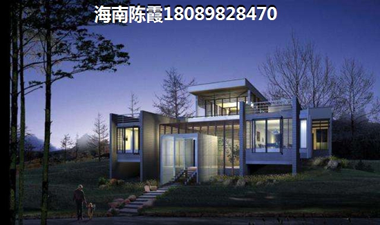 海南海口市2024什么有前景？