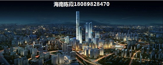 未来海南海口醉有发展前景的地区