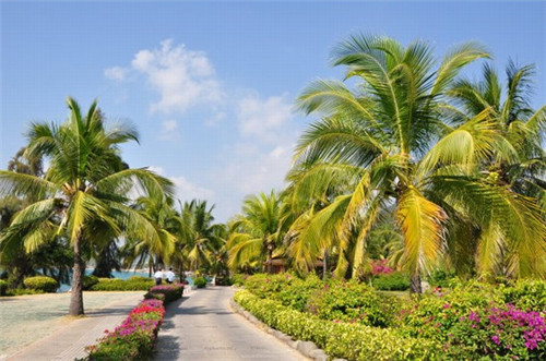 海口中天海景二手房,养老好选择,值得入手吗?