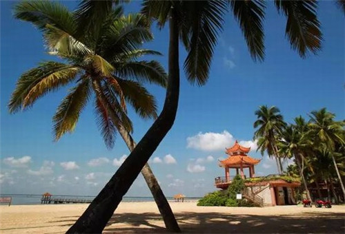 海南海口市养老买房选哪个？招商局大厦与国芳佳苑哪个适合养老？