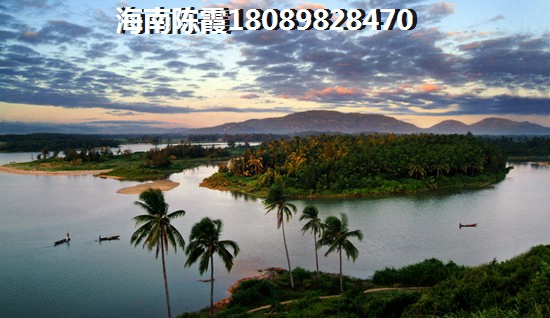 海口西秀绿洲楼盘价纸深度解析