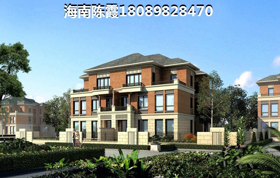 海口买房生纸潜力排行榜