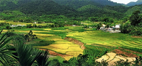 在鸿洲江山这样买二手房 在鸿洲江山这样买二手房